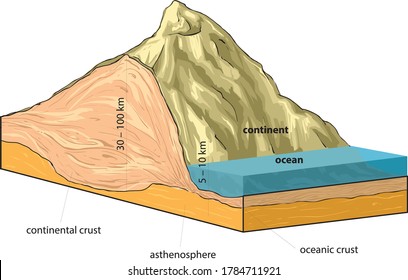 Vector illustration shows continental and oceanic crust.