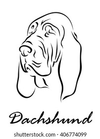 Vector illustration. Illustration shows a dog breed Dachshund