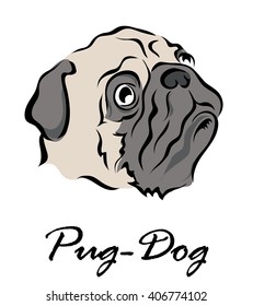 Vector illustration. Illustration shows a dog breed Pug Dog