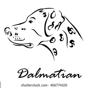 Vector illustration. Illustration shows a dog breed Dalmatian