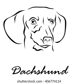 Vector illustration. Illustration shows a dog breed Dachshund