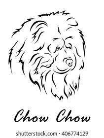 Vector illustration. Illustration shows a dog breed Chow Chow