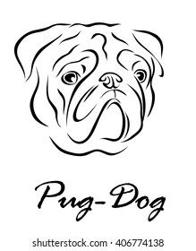 Vector illustration. Illustration shows a dog breed Pug Dog