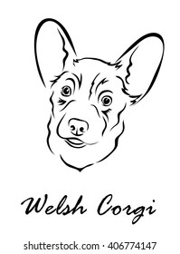 Vector illustration. Illustration shows a dog breed Welsh Corgi