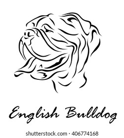 Vector illustration. Illustration shows a dog breed English Bulldog