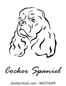 Vector illustration. Illustration shows a dog breed Cocker Spaniel