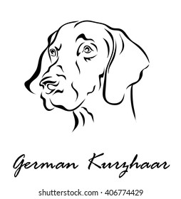 Vector illustration. Illustration shows a dog breed German Kurzhaar