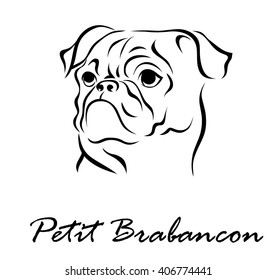 Vector illustration. Illustration shows a dog breed Petit Brabancon