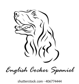 Vector illustration. Illustration shows a dog breed English Cocker Spaniel