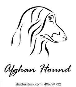 Vector illustration. Illustration shows a dog breed Afghan Hound