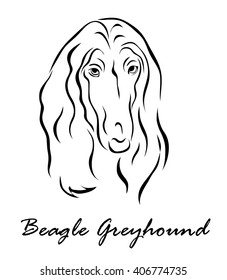 Vector illustration. Illustration shows a dog breed Beagle Greyhound