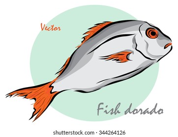 Vector illustration. Illustration shows a fish dorado?