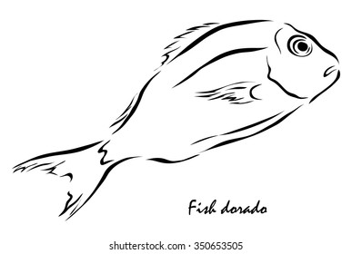 Vector illustration. Illustration shows a fish 