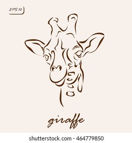 Vector illustration. Illustration shows a giraffe