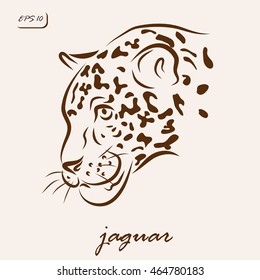 Vector illustration. Illustration shows a jaguar