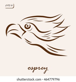 Vector illustration. Illustration shows a osprey bird