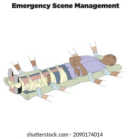 Vector illustration shows Recovery position (first aid).