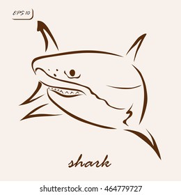 Vector illustration. Illustration shows a shark