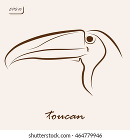 Vector illustration. Illustration shows a toucan bird