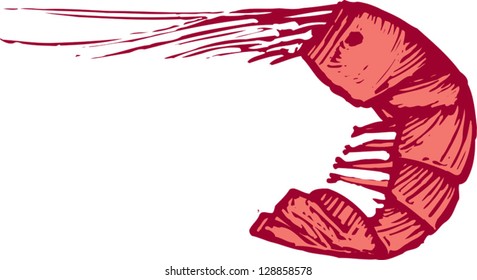 Vector illustration of a shrimp