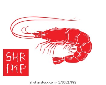 Vector illustration of a shrimp