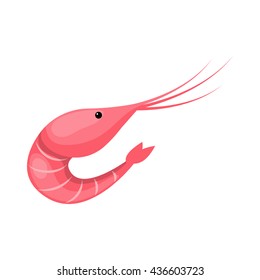 Vector illustration of shrimp
