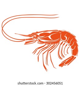 Vector illustration of shrimp. Vector illustration can be used for creating logo and emblem for fishing clubs, prints, web and other crafts.