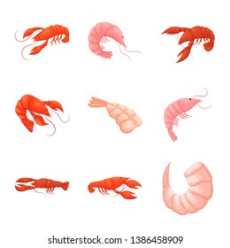 Vector illustration of shrimp and crab logo. Collection of shrimp and sea stock vector illustration.