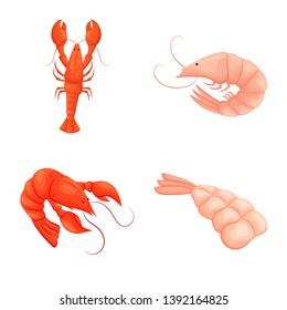 Vector illustration of shrimp and crab sign. Set of shrimp and sea stock symbol for web.