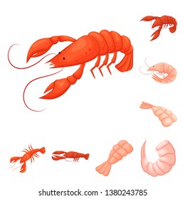 Vector illustration of shrimp and crab symbol. Collection of shrimp and sea stock symbol for web.