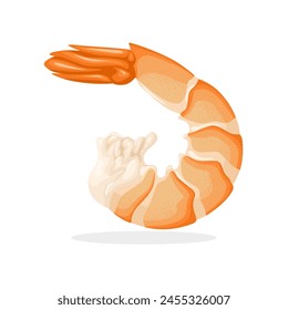 Vector illustration, a shrimp, isolated on white background.