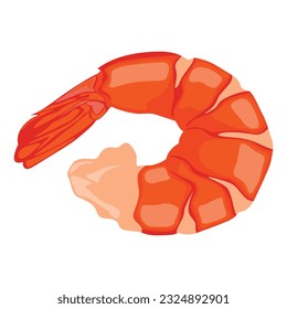 Vector illustration of shrimp prawn icons set. Boiled shrimp drawing on a white background. Collection shrimp, shrimps without shell, shrimp meat. Menu icon for healthy sea food. Protein food