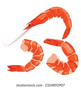 Vector illustration of shrimp prawn icons set. Boiled shrimp drawing on a white background. Collection shrimp, shrimps without shell, shrimp meat. Menu icon for healthy sea food. Protein food