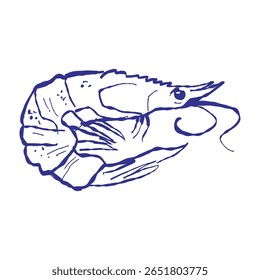 Ilustração vetorial de camarão e camarão, mostrando iguaria marinha. Design artístico de frutos do mar perfeito para temas culinários e aquáticos.