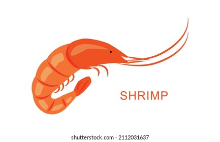 Vector illustration of a shrimp. Seafood. For fish restaurant menus, for packaging in markets and shops.