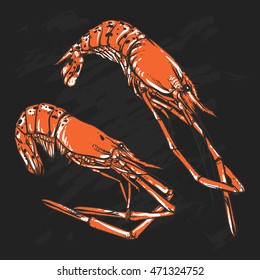 Vector illustration of a Shrimp set drawing on a black background. Hand drawn seafood illustration. Great for menu, poster or label.