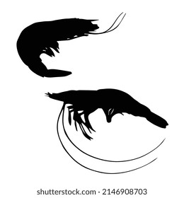 Vector illustration of shrimp silhouette