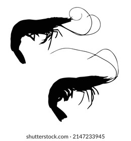 Vector illustration of shrimp silhouette
