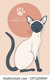 vector illustration with Siamese cat  in cartoon style, yellow and blue colors