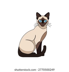 Vector illustration of a siamese cat sitting, elegant feline with blue eyes and dark points, cartoon style