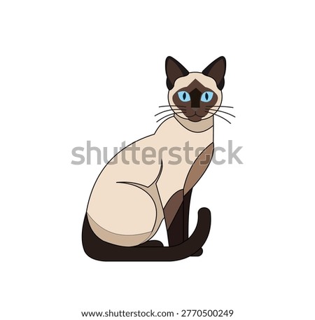 Vector illustration of a siamese cat sitting, elegant feline with blue eyes and dark points, cartoon style