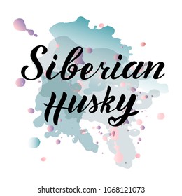 vector illustration of siberian husky text for stickers, postcard. phrase for t-shirts and posters, stickers, photo overlays. Black hand painted lettering on watercolor background. typography poster