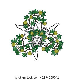 Vector illustration of Sicilian triskelion with figs