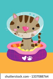 Vector illustration of sick cat with cone of shame