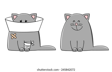 vector illustration of a sick cat and healthy cat