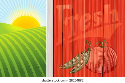 Vector illustration of the side of a barn with a faded vegetable illustration, and a sunrise over some fields. Multi-layered for easy editing.