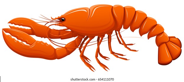 Lobster Images, Stock Photos & Vectors | Shutterstock