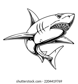 vector illustration Side view of a shark with its prey hunting position in the water black and white design