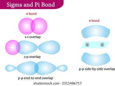 Vector illustration of Sigma and Pi Bonds