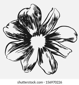 Vector illustration sign of black and white flower